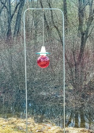 Blood Red Tear Drop for Ukraine